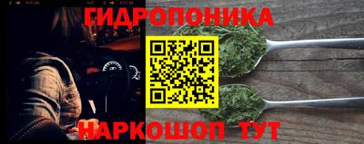 прущие крисы Аргун