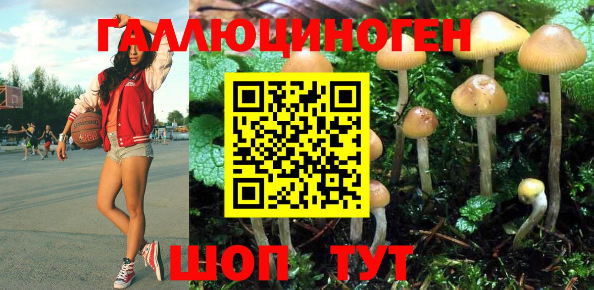 Галлюциногенные грибы GOLDEN TEACHER Бузулук