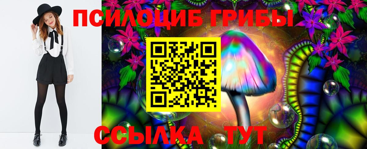 Псилоцибиновые грибы мухоморы  Вход с VPN  Бузулук 